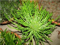 d8e60b47-IMG_2781.jpg