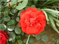 d900b920-P9280034.JPG