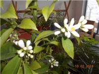 dabceccb-DSCN2659.JPG