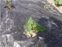 dbfe2080-P210514_16.08.jpg
