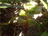 dc5dbde0-P090614_11.34_01.jpg