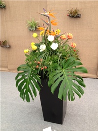 dd430fff-IMG_0774.JPG