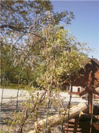 dd8cd121-P7070814_01.JPG