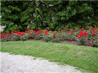 de22de2e-0b84-4ff7-8ab4-baa5884c3484-rue-park.jpg