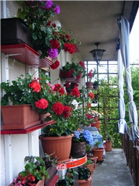 de29b927-0905140013.JPG