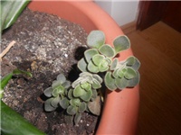 de3178de-DSCN0889.JPG