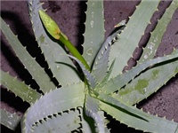ded80ecd-15.jpg