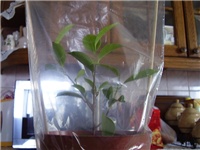 deeb60d4-P1110058.JPG