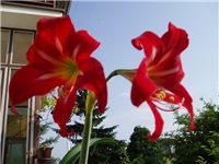 deed952b-P1010045a.jpg