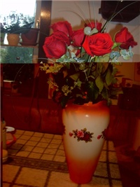 df0d09ee-S5000509.JPG