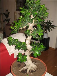 df699d5b-IMG_3131a.jpg