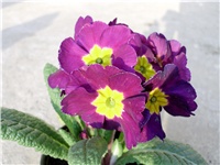 df9d04c8-DSCI0116.JPG