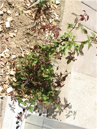 e0508448-subota23_081.jpg
