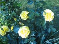 e0f759d0-IMG_0660.jpg