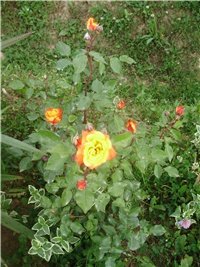 e2da4d55-P9270021.JPG