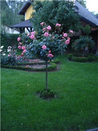 e37c22b8-DSC07999.JPG