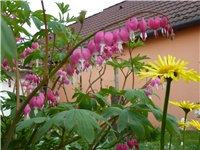 e38cbb45-P1010131.JPG