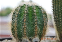 e5366b9f-subota.044.jpg