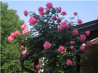 e54ba022-IMG_0624.jpg