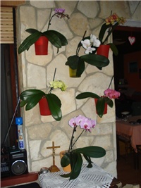 e57b9ad6-DSC07625.JPG