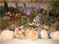 e701e386-IMG_2777.jpg