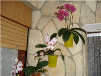 e715424d-DSC06897.JPG