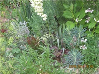 e7267608-039.JPG