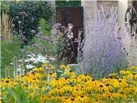 e760c24f-P1040167.JPG