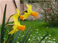 e765828a-P1010027.JPG