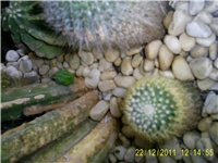 e8b3b83f-S4025502.JPG