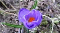 e91f91d6-IMG_0077.jpg
