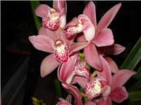 ea245b89-DSC05892.JPG
