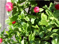 ea28f6df-DSCN0618.JPG
