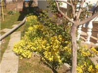 ea5803df-P7070811_01.JPG