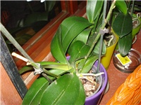 ea90a42e-DSC06637.JPG