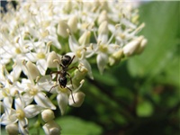 eac8bcce-subota23_005.jpg
