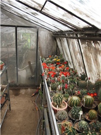 eafc297f-P1010265.jpg
