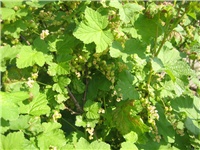 eb213da8-IMG_3704.jpg