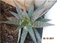 eb326d5e-DSCN2476.JPG