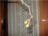 eb33cc0c-DSC05910.JPG