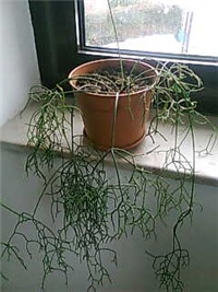 eb846958-B.KORALJ.jpg