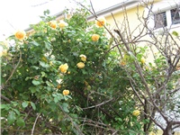 eb92ff81-IMG_2990.JPG