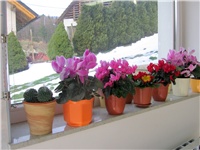 ec3f1999-IMG_2834.jpg
