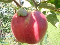 ec8ab03b-DSCN1455.JPG
