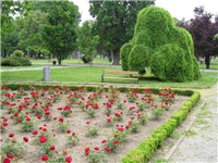 ecd0bd4d-58db-47fa-aedc-55bdcfc42230-reimirovpark.jpg