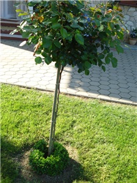 ee75cf8e-DSC07863.JPG