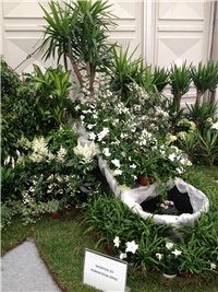 ef0ac67a-IMG_0772.JPG