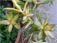 ef517683-DSCN1400.JPG