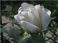 ef669868-IMG_0745.jpg