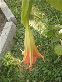 ef7abd8e-P6091191.JPG